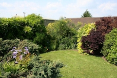 Brymbo garden